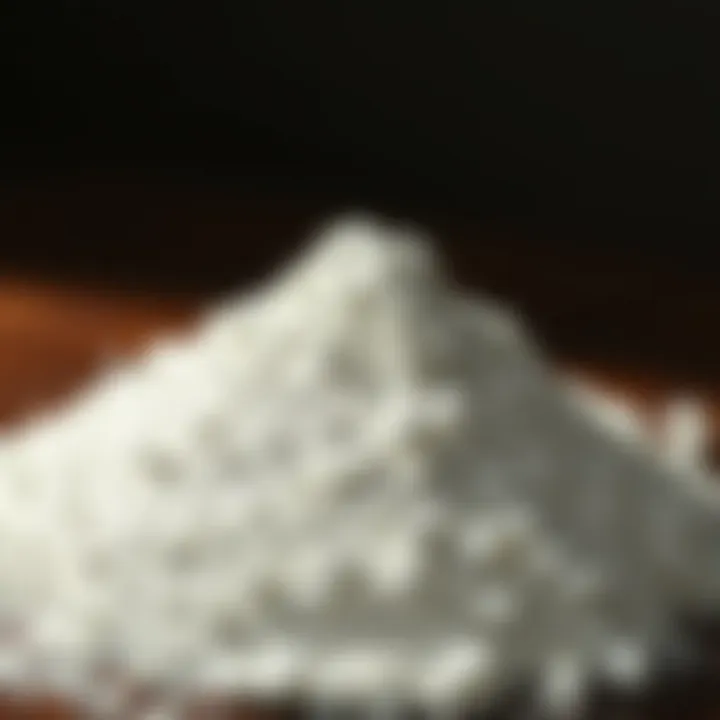 Magnificent Understanding Boric Acid Bed Bug Powder: A Comprehensive Guide