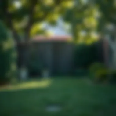 A peaceful backyard environment after raccoon-proofing