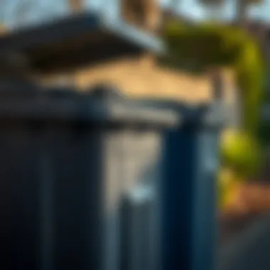 Safely securing garbage bins to deter raccoons