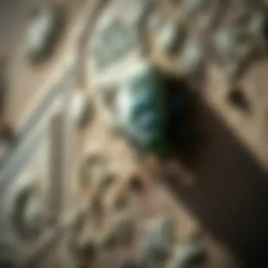 Application methods for effective pest control