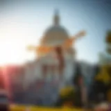 Capitol Mosquito Control Reviews: An In-Depth Analysis Introduction