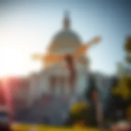 Capitol Mosquito Control Reviews: An In-Depth Analysis Introduction