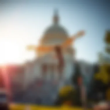 Capitol Mosquito Control Reviews: An In-Depth Analysis Introduction