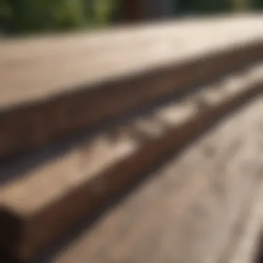 Wood Deck Infestation Evidence Signs of carpenter ant damage on a wooden deck