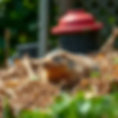 Graphic showing modern gopher control solutions