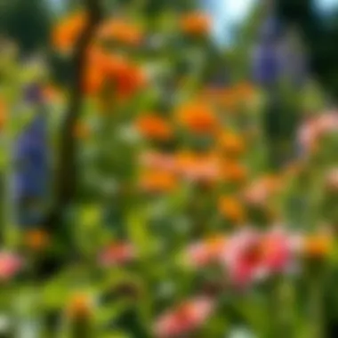 A vibrant garden scene illustrating eco-friendly pest management practices.