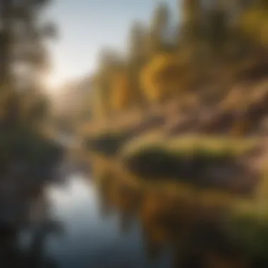 A serene Montrose landscape showcasing natural habitats.