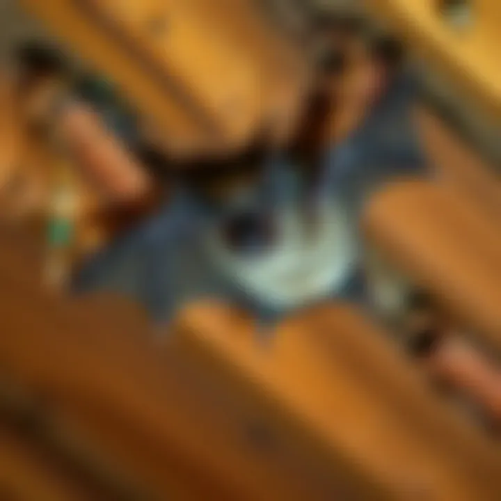 Identifying Bats in Your Attic Bat in attic space