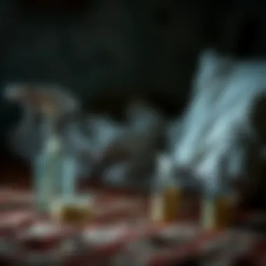 Effective Application Methods Application methods for bed bug spray