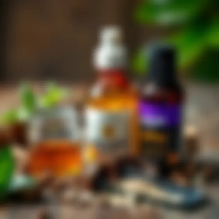 Natural Ingredients for Bed Bug Spray Natural ingredients for pest control