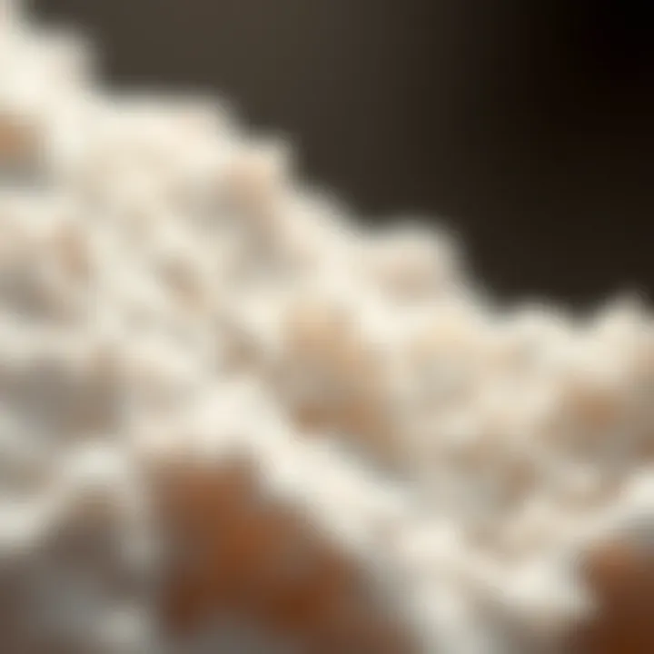 Close-up of diatomaceous earth particles