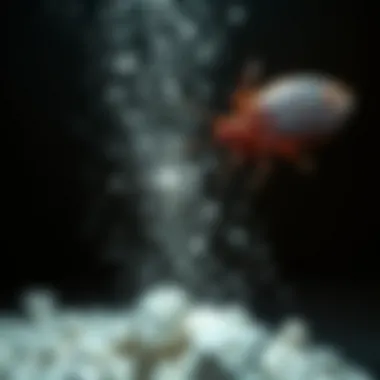 Comparison of pest control methods