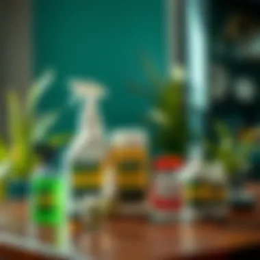 Eco-friendly pest control products displayed on a table