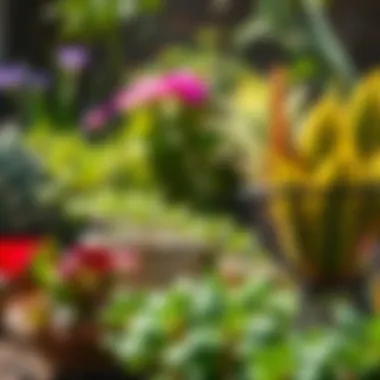 A well-maintained garden emphasizing pest prevention techniques