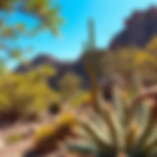 Vibrant landscape of Scottsdale showcasing natural pest habitats