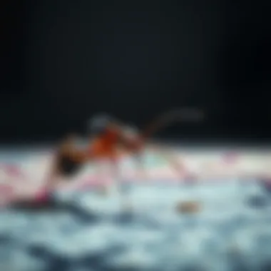 Chemical solutions for pest control