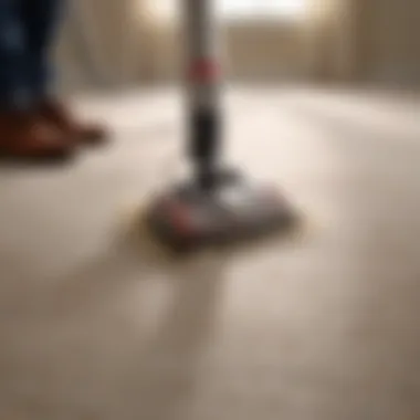 A person vacuuming a carpet to eliminate fleas