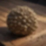 Close-up of a wasp nest on a wooden deck