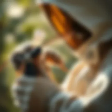 A close-up of a natural wasp nest prevention spray being applied.