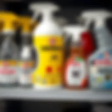 Chemical Solutions for Spider Control Chemical spider control products on a shelf