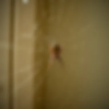 Close-up of Spider Web Detailed view of spider web in a corner