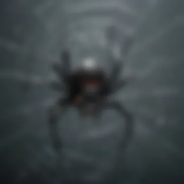 Close-up of a black widow spider in its web