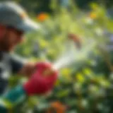 Organic pest control techniques in a garden