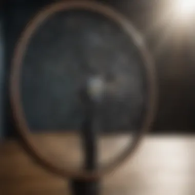 Close-up of a bug zapper racket in action, zapping an insect
