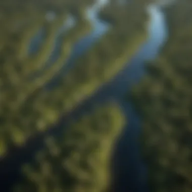 An aerial view of a lush coastal ecosystem highlighting potential mosquito breeding grounds