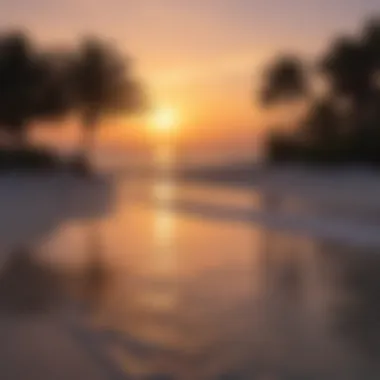 Sunset Over Fort Myers Beach A tranquil sunset view of Fort Myers Beach showcasing the natural habitat