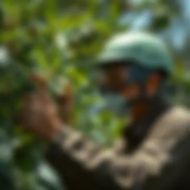 Ecological practices in pest management by Greenshield