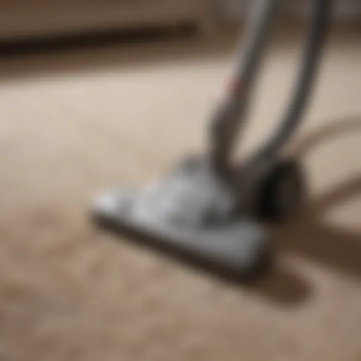 Vacuuming carpet to remove fleas