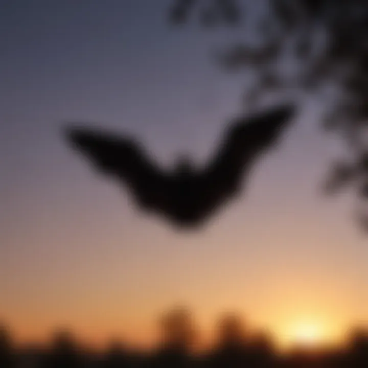 A close-up of a bat's silhouette against the evening sky.