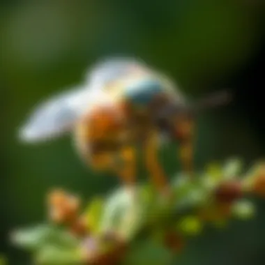 Integrated pest management strategies