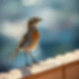 A bird perched on a ledge contemplating nest building.