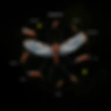 Illustration of mosquito life cycle stages