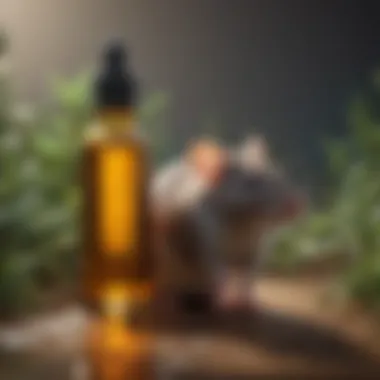 Essential oils effective against rats