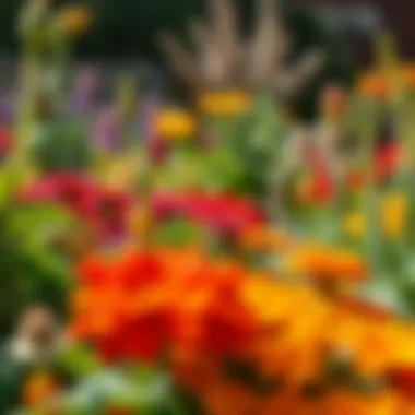 A vibrant garden in Parkersburg showcasing natural pest deterrents