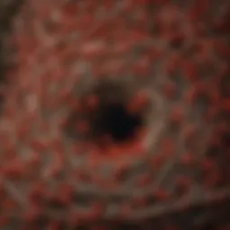 The intricate nest of red wasps showcasing their building patterns.