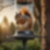 A close-up view of a squirrel spike installed on a bird feeder