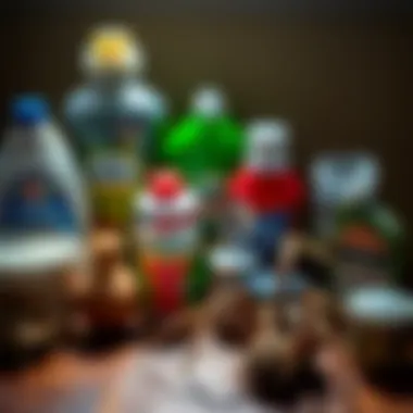 A collection of common household items used for spider prevention.