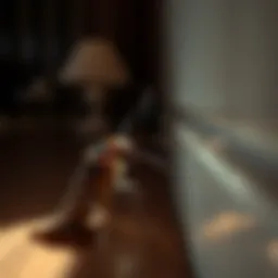 Close-up view of a cockroach in a hotel room corner