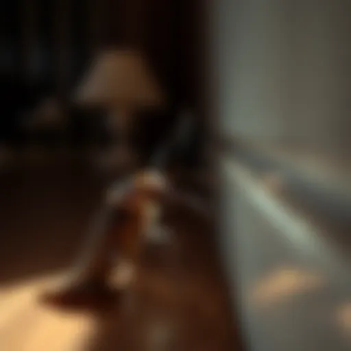 Cockroach Infestation in Hotel Room Close-up view of a cockroach in a hotel room corner