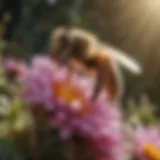 Honey bees pollinating flowers