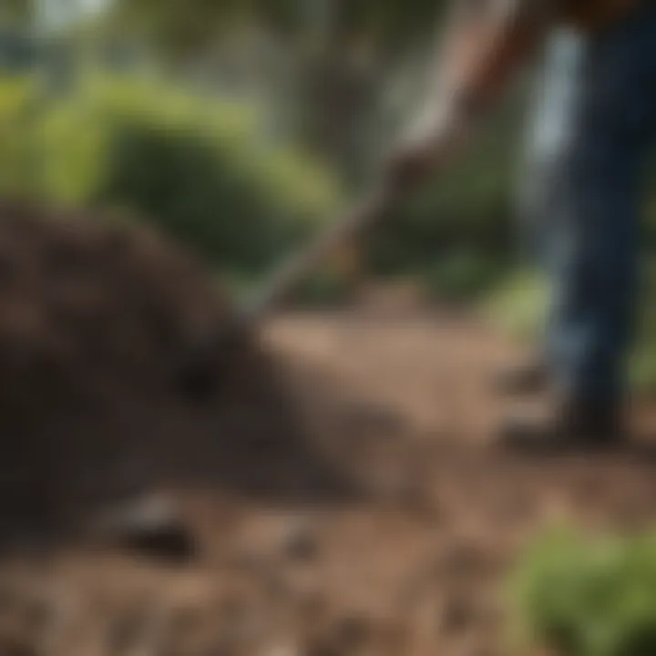 Bat guano application in a garden