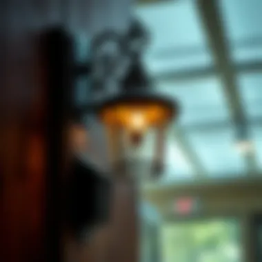 Wall sconce fly light trap in a commercial setting