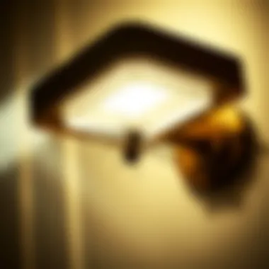 Close-up of fly light trap with eco-friendly features