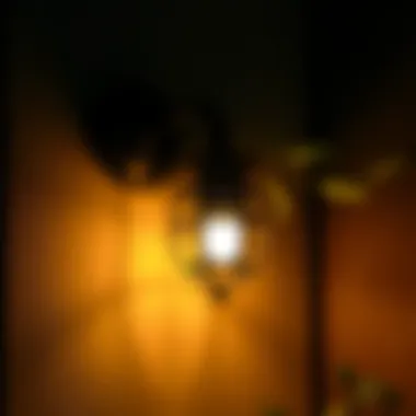 Maintenance steps for wall sconce fly light trap