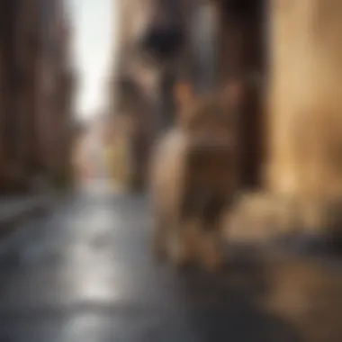 Ecological Roles of Alley Cats A visual representation of the ecological roles of alley cats in urban environments.