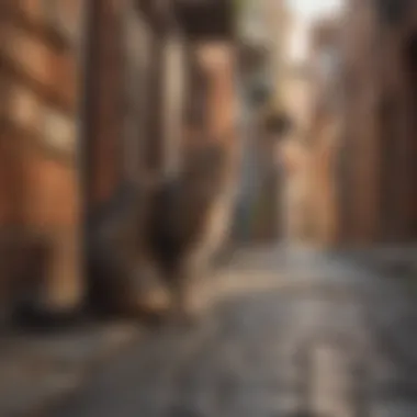 Alley Cats in Pest Management Illustration depicting urban landscapes where alley cats contribute to pest management.
